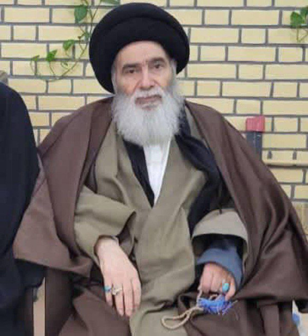 السيد هادي السيستاني ويكيبيديا