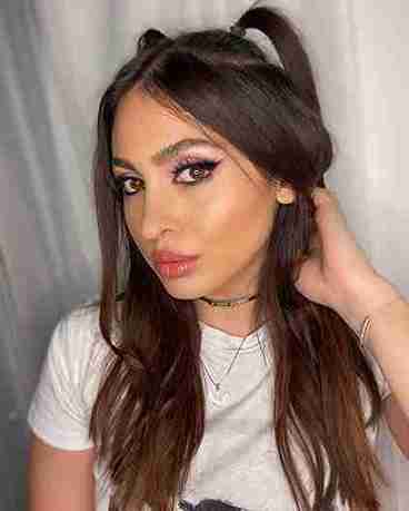 نيكول سعفان ويكيبيديا السيرة الذاتية